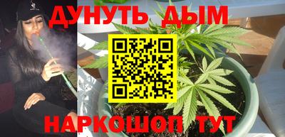 Альфа ПВП Краснознаменск